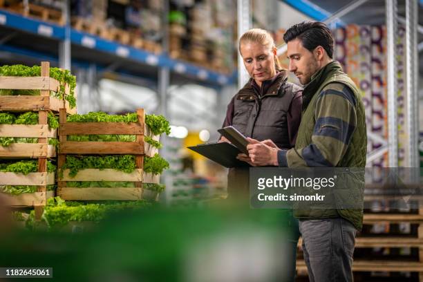 workers checking lettuce shipment in warehouse - food stock pictures, royalty-free photos & images