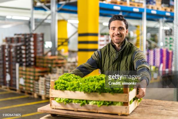 young man carrying wooden crate with fresh lettuce - picking up food stock pictures, royalty-free photos & images