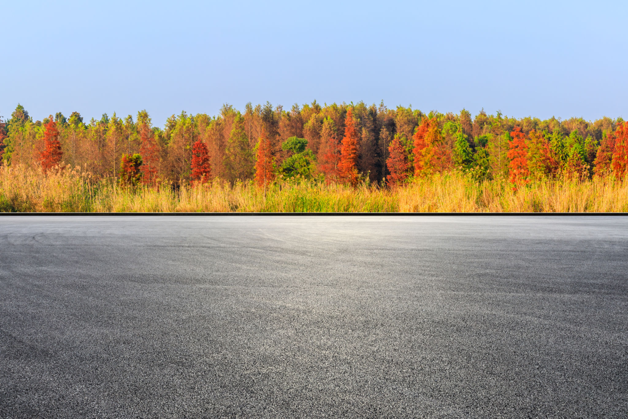 Race track ground and beautiful colorful forest landscape in autumn Race track ground and beautiful colorful forest landscape in autumn