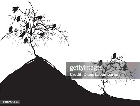 Crows in Dead Trees Crows in Dead Trees