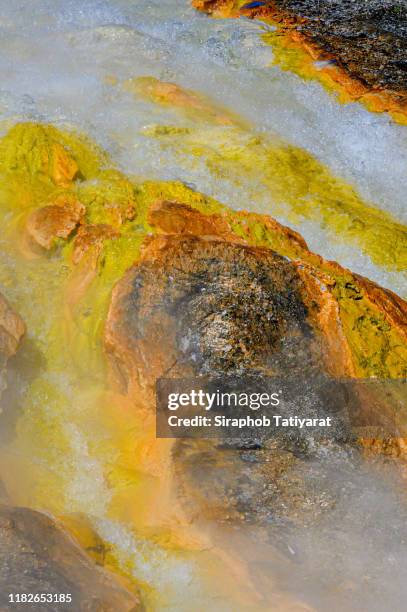 yellowstone west thumb thermal pool close-up - thermophile stockfoto's en -beelden