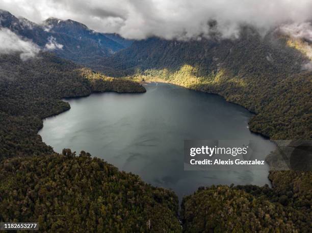 alerce andino national park in southern chile - national wildlife reserve stock pictures, royalty-free photos & images