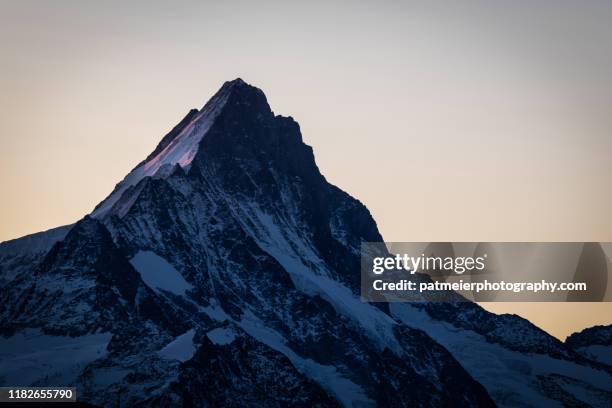 swiss mountain peaks - schreckhorn during sunrise - leaders summit stock pictures, royalty-free photos & images