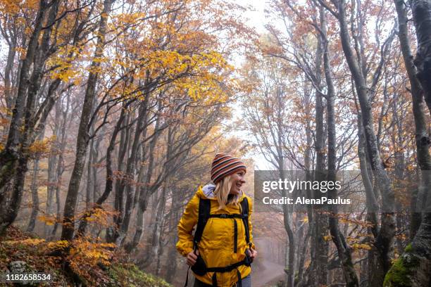 frau in gelben cape zu fuß durch schönen herbst farbigen wald - rain cape stock-fotos und bilder