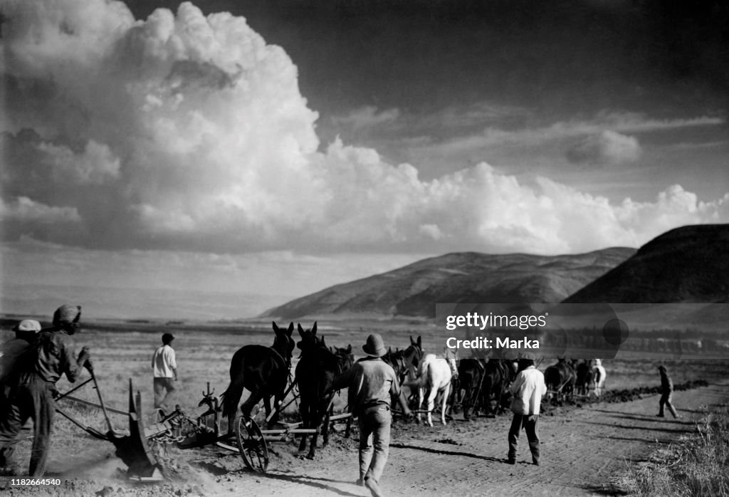 Middle east, palestine, esdraelon plain, settlers at work, 1910-20