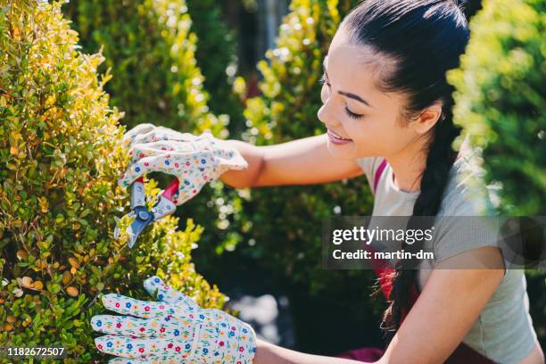 gardener pruning plants in garden center - secators stock pictures, royalty-free photos & images