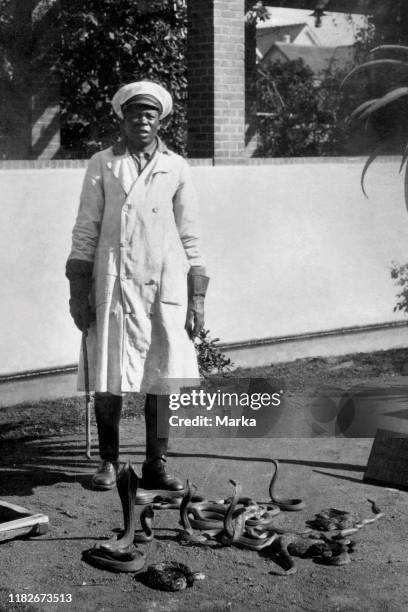 Guard of serotherapeutic institute, poisonous cobras and snakes, port elizabeth, southafrica, africa 1920 1930.