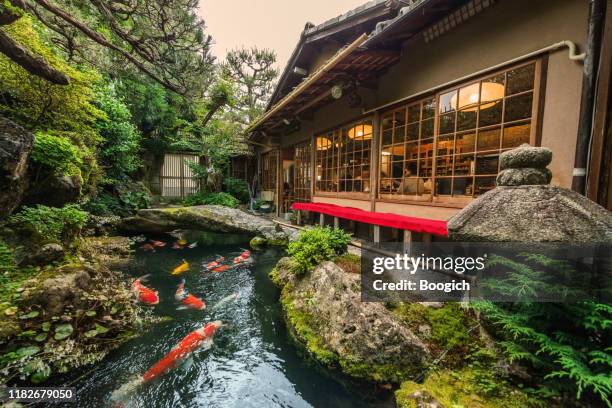 traditionele japanse koi vijver in kyoto japan - oriental garden stockfoto's en -beelden