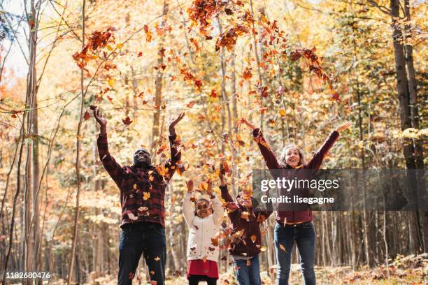 mixed raced family in a forest, throwing maple leaves - young leafs stock pictures, royalty-free photos & images