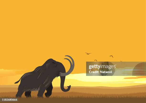 mammoth - extinction stock illustrations
