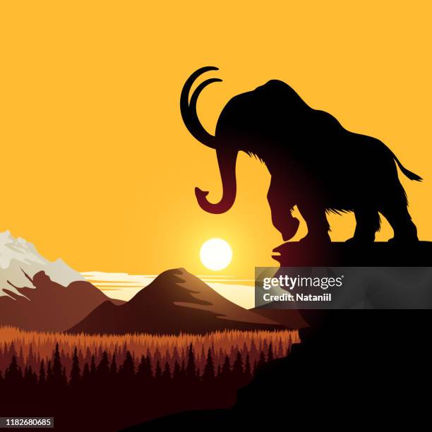 mammoth - mammoth stock illustrations