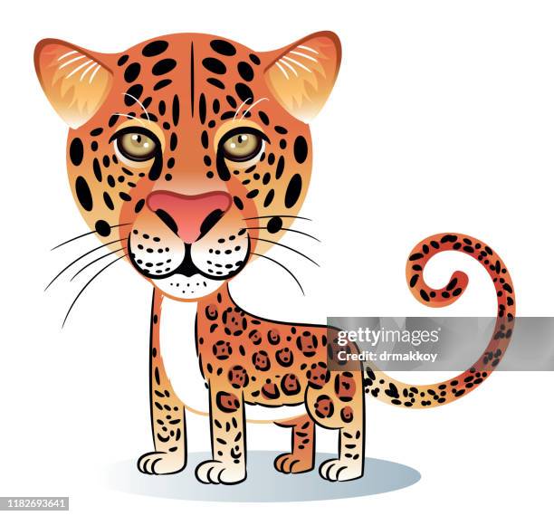 leopard - leopard print stock illustrations