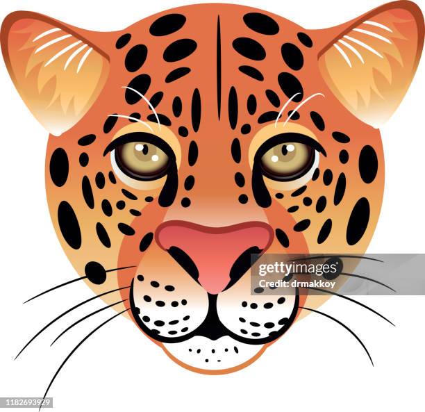 Leopard Face High-Res Vector Graphic - Getty Images
