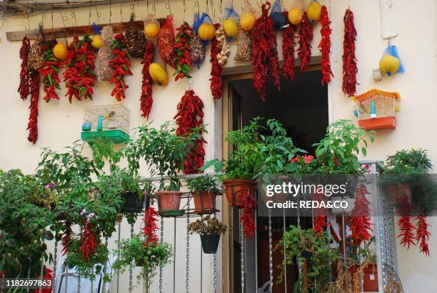 Diamante village, Riviera dei Cedri, Calabria, Italy, Europe.