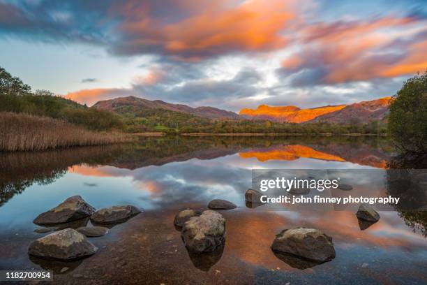 autumn - lake district - orange - rustic - reflection - elterwater - sunrise - whitehaven cumbria stock-fotos und bilder