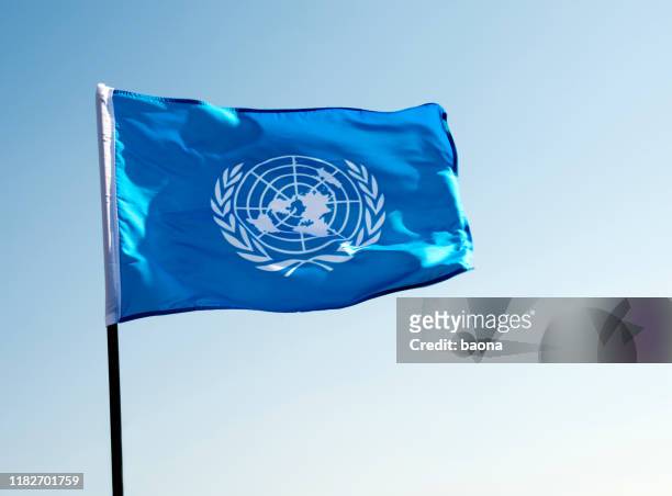 風に揺るがす国連旗 - united nations ストックフォトと画像