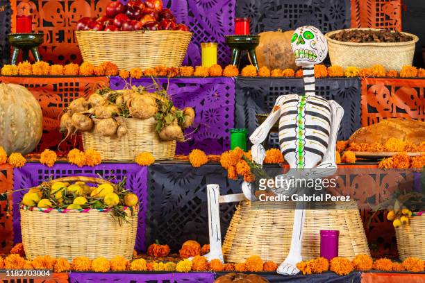  fotos e imágenes de Altar De Muertos - Getty Images