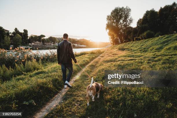 jonge volwassen man lopen met zijn hond in de buurt van een rivier in de stad - avondschemering stockfoto's en -beelden