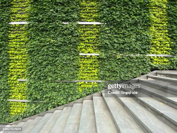 plant covered wall and stairs - chinese house churches imagens e fotografias de stock