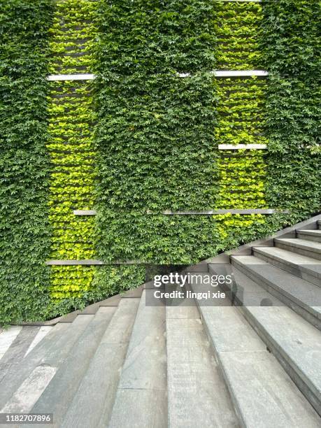 plant covered wall and stairs - chinese house churches imagens e fotografias de stock