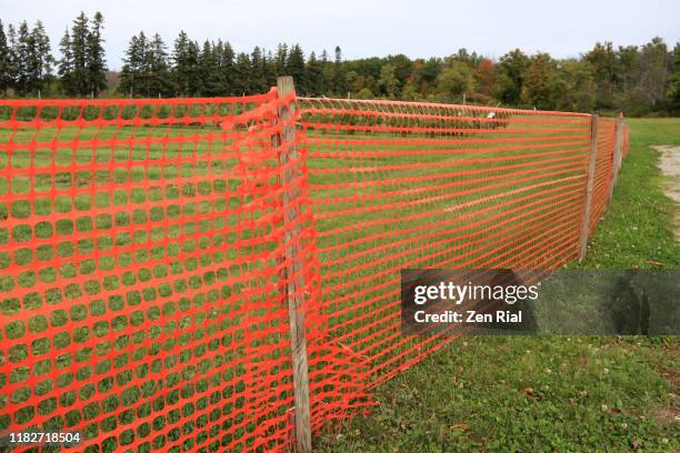 orange colored temporary plastic fence on grass area with trees in the background - temporaneo foto e immagini stock
