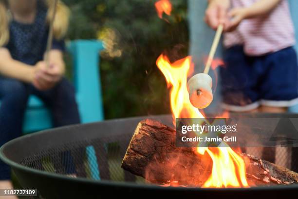 family toasting marshmallows over brazier - brasero photos et images de collection