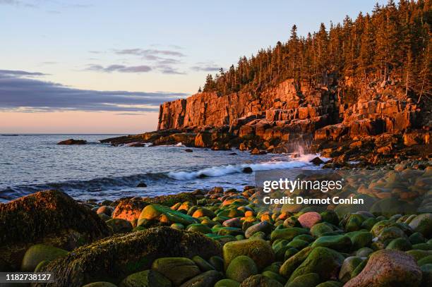 otter cliff at sunrise in acadia national park, usa - maine bildbanksfoton och bilder