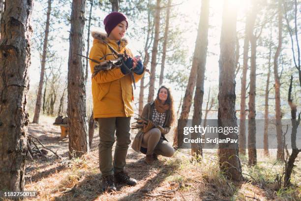 camping mit mama - firewood stock-fotos und bilder