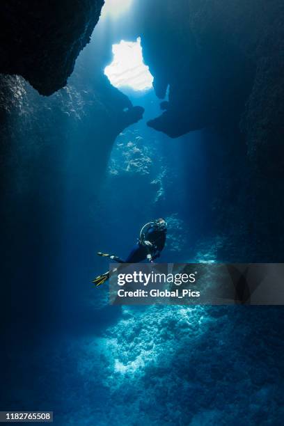 plongeur à l'intérieur des trous bleus dans palau, micronésie - fonds marins photos et images de collection