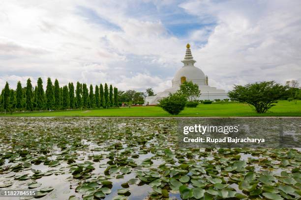 peace stupa - lumbini nepal stock pictures, royalty-free photos & images