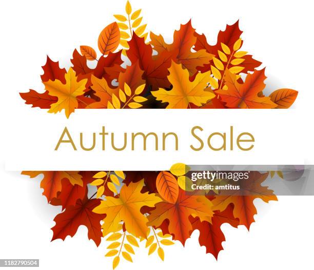 bildbanksillustrationer, clip art samt tecknat material och ikoner med höstsäsongens banner - höstlövverk