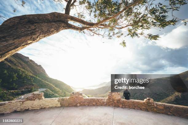 viewpoint under the tree - murcia spain stock pictures, royalty-free photos & images