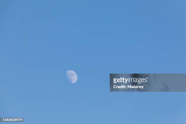 moon against clear blue sky. - mini moon stock pictures, royalty-free photos & images