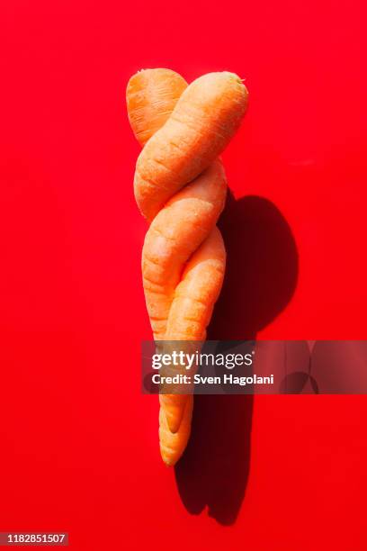 intertwined carrots - verdreht stock-fotos und bilder