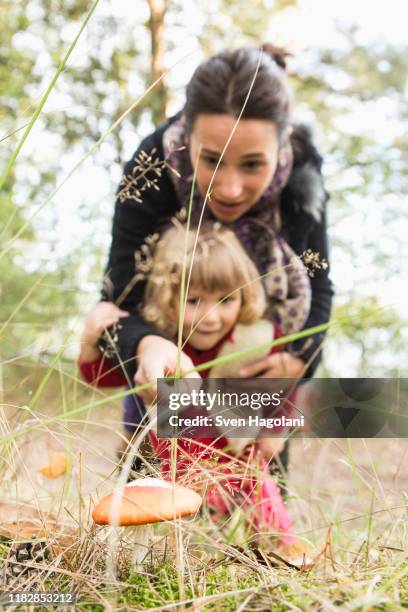 mother showing mushroom to daughter on field - tochter zeigt stock-fotos und bilder