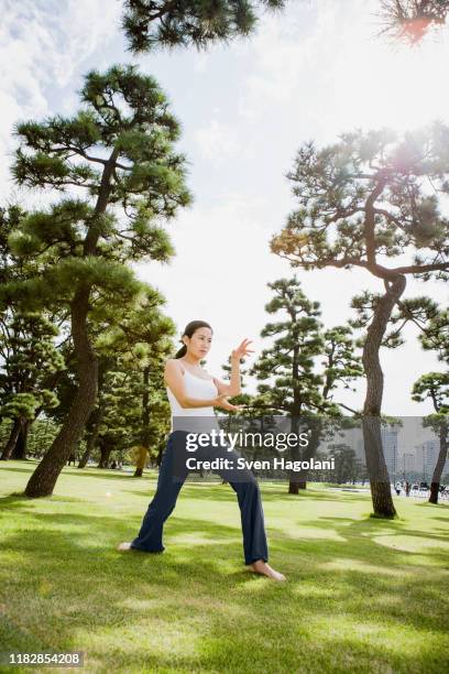 woman practicing tai chi in sunny park, tokyo, japan - woman and tai chi stock pictures, royalty-free photos & images