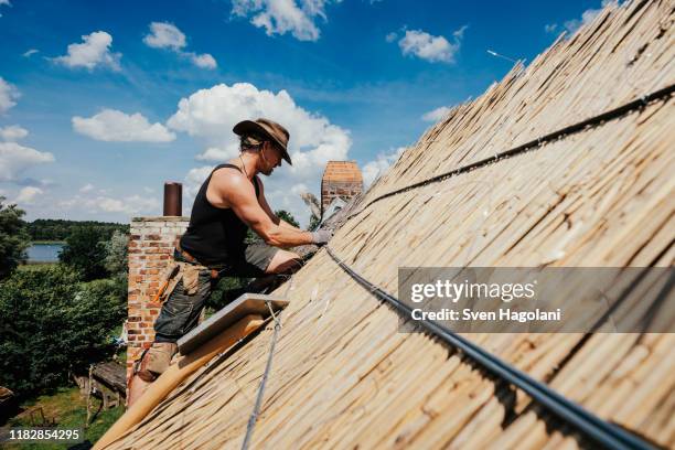man repairing thatch roof on sunny house - かやぶき屋根 ストックフォトと画像