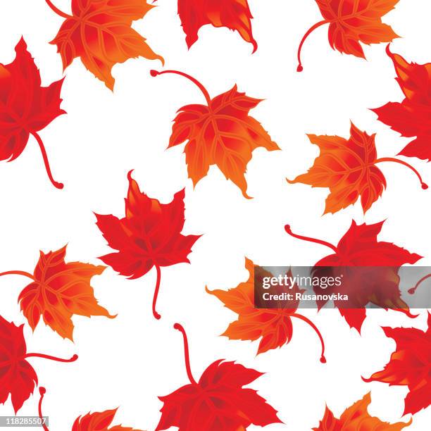 maple leave - maple leaf white background stock illustrations