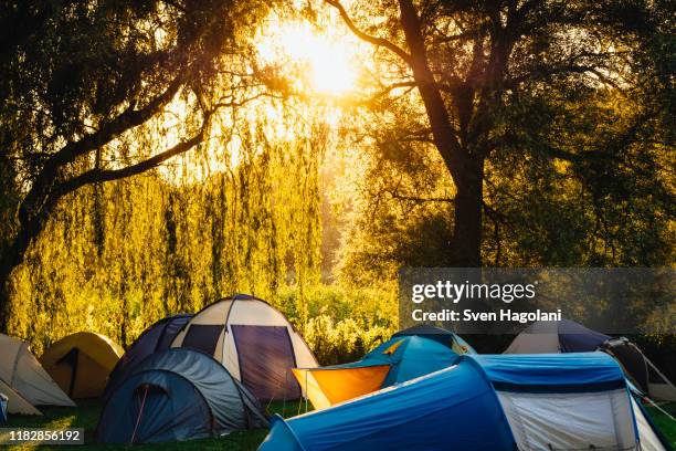 tents under sunny trees at campsite - zelt stock-fotos und bilder