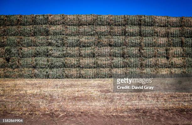 Stack of hay sits on farmer Jamie Corbett's property in a paddock containing a failed wheat crop on the outskirts of the north-western New South...