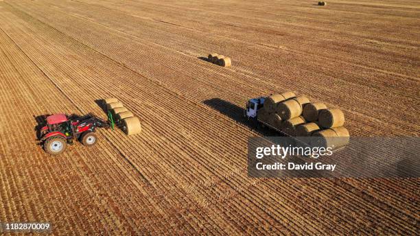 Jason Knapman loads bails of hay onto a truck in a paddock containing a failed wheat crop on the Knapman family property located on the outskirts of...
