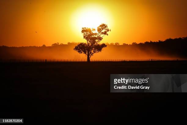 Dust rises in a drought-affected paddock containing a failed wheat crop on farmer Trevor Knapman's property located the outskirts of the...