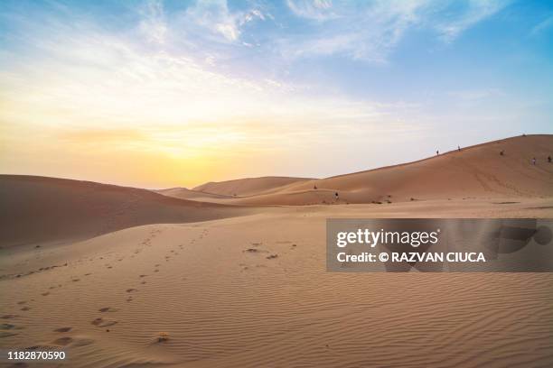 sunset in the desert - dubai sunset desert stock pictures, royalty-free photos & images