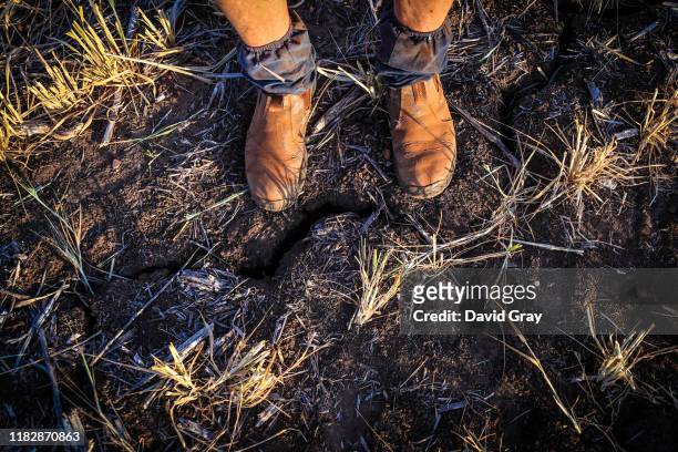 Trevor Knapman stands in a paddock containing a failed wheat crop on the Knapman family property located on the outskirts of the north-western New...