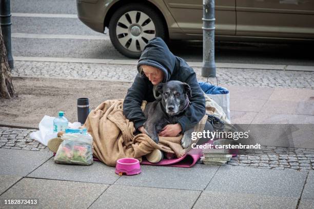 old lady with a dog begging for money - homeless beggar stock pictures, royalty-free photos & images