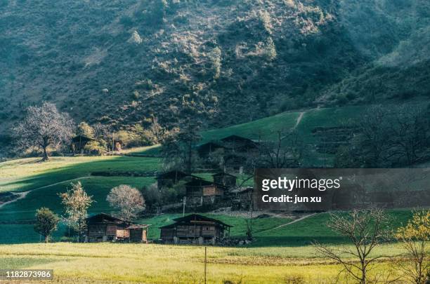 het dorp in de vallei is omgeven door groene planten - omgeven stock-fotos und bilder