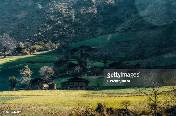 het dorp in de vallei is omgeven door groene planten - omgeven stock pictures, royalty-free photos & images