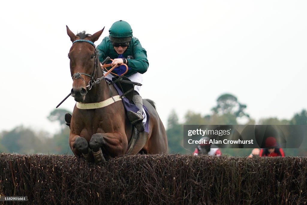 Fontwell Races