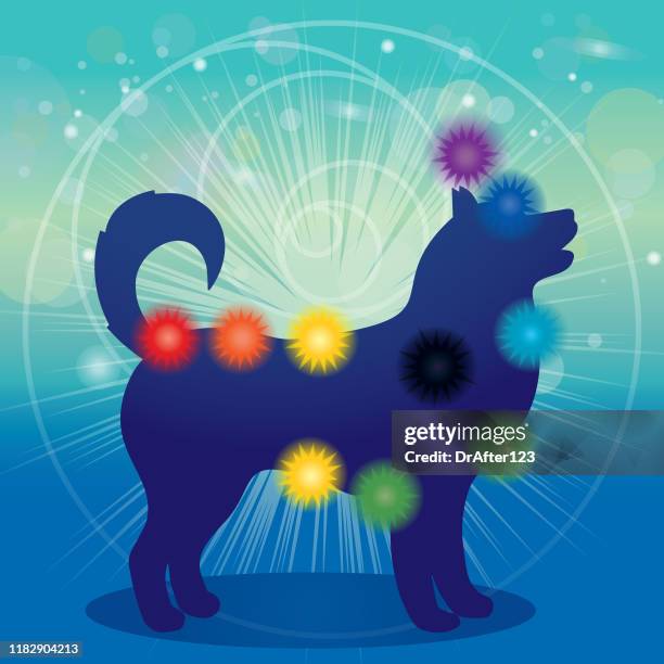 ilustraciones, imágenes clip art, dibujos animados e iconos de stock de silueta de perro y chakras - geometría sagrada