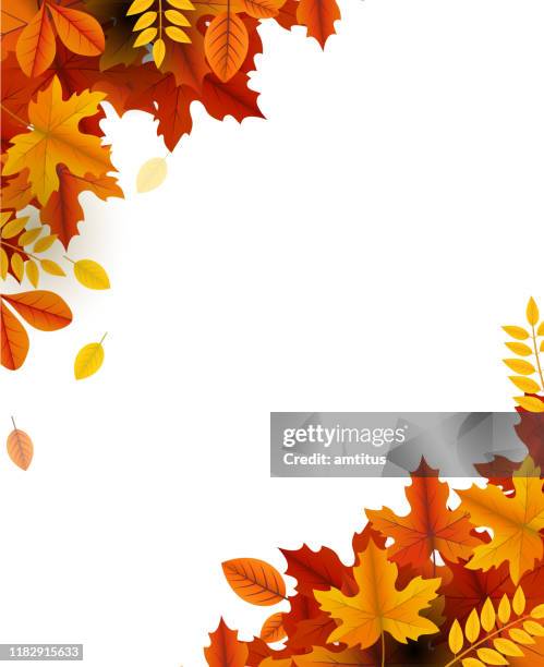 herbst schönheit - autumn leaves stock-grafiken, -clipart, -cartoons und -symbole